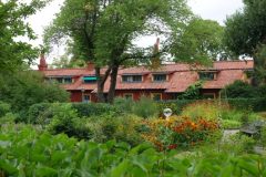 DSC03478-e1537608396615