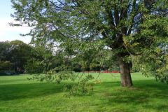 DSC08623-e1537608359815