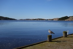 Fjällbacka