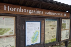 Hornborgasjön