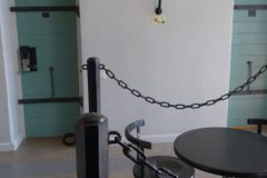 DSC08316-e1572623052453