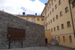 DSC08325-e1572623106384