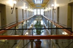 DSC08481-e1572623239386