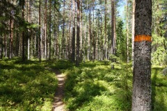 Jäverön