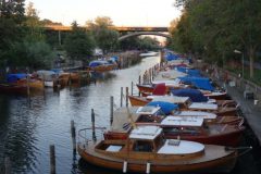 DSC08689-e1537608728191