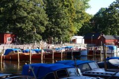 DSC08736-e1537608706978