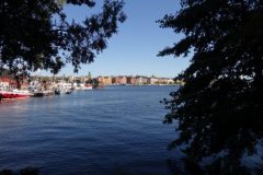 DSC08741-e1537608694495