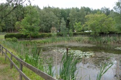 Mårbacka