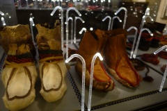 Musée Nordique