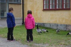 DSC03489-e1537608373343