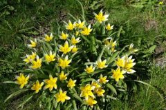 DSC06150-e1537609004939