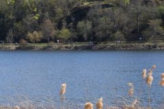 DSC06152-e1537608991401