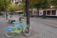 DSC08357-e1552239175931