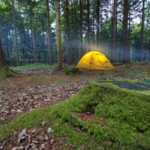 droit à la nature