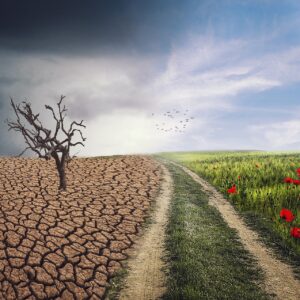 chgt_climatique